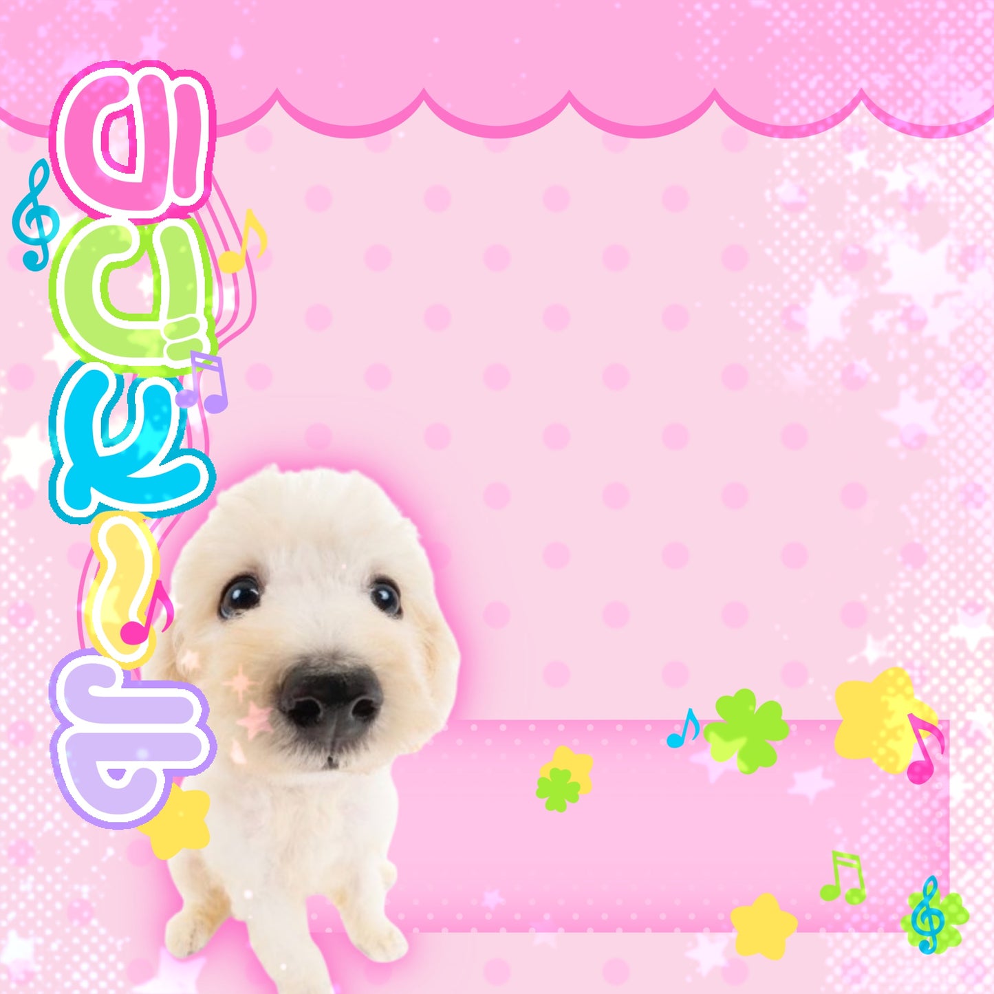 Cutieful animal memos