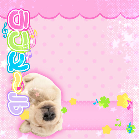 Cutieful animal memos